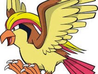 Pidgeotto>Pidgeot